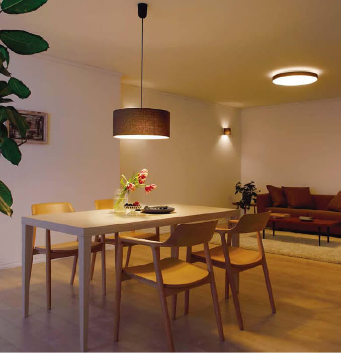 PENDANT LIGHT