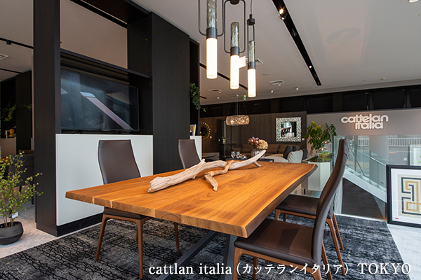ショールームガイド | cattlan italia | インテリアヴィレッジ